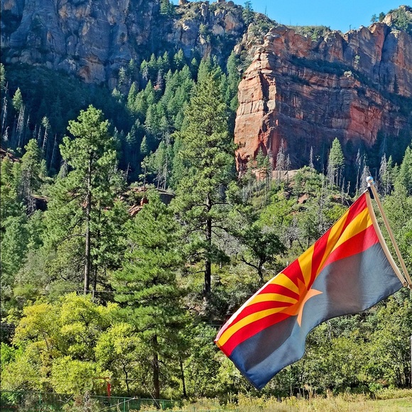 Meet your Posher, Rosanna - Picture 2 of 3